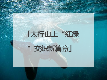 太行山上“红绿”交织新篇章