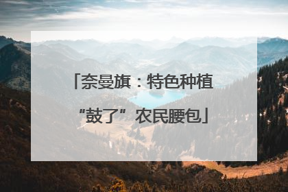 奈曼旗：特色种植“鼓了”农民腰包