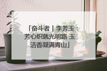 奋斗者｜李芳玉：芳心织就光明路 玉洁香凝满青山