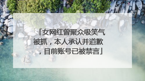 女网红曾聚众吸笑气被抓，本人承认并道歉，目前账号已被禁言
