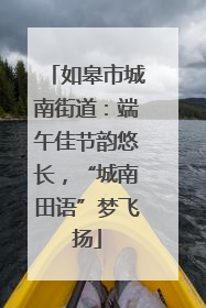 如皋市城南街道：端午佳节韵悠长，“城南田语”梦飞扬