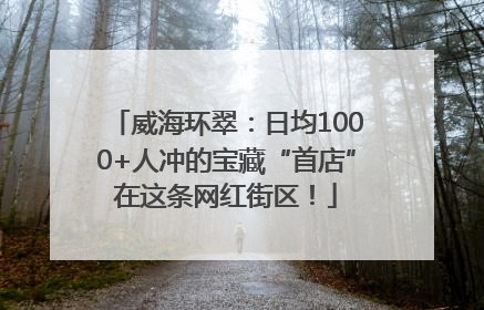 威海环翠：日均1000+人冲的宝藏“首店”在这条网红街区！