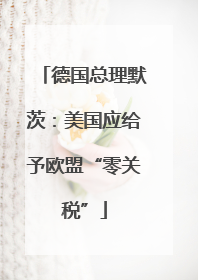 德国总理默茨：美国应给予欧盟“零关税”