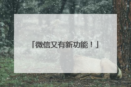 微信又有新功能！