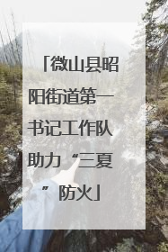 微山县昭阳街道第一书记工作队助力“三夏”防火