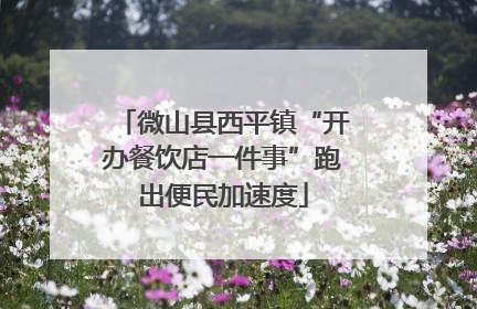 微山县西平镇“开办餐饮店一件事”跑出便民加速度