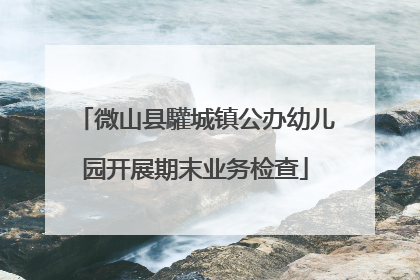 微山县驩城镇公办幼儿园开展期末业务检查