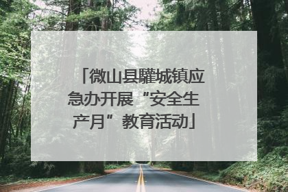 微山县驩城镇应急办开展“安全生产月”教育活动