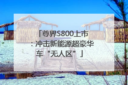 尊界S800上市：冲击新能源超豪华车“无人区”