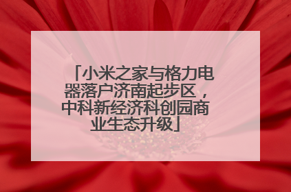 小米之家与格力电器落户济南起步区，中科新经济科创园商业生态升级