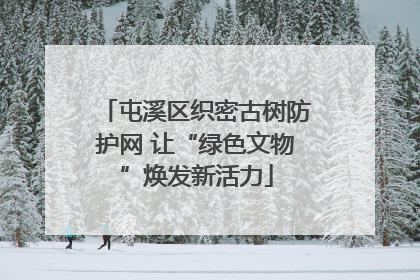 屯溪区织密古树防护网 让“绿色文物”焕发新活力