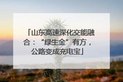山东高速深化交能融合：“绿生金”有方，公路变成充电宝