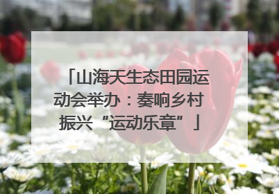 山海天生态田园运动会举办：奏响乡村振兴“运动乐章”