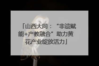 山西大同：“非遗赋能+产教融合”助力黄花产业绽放活力