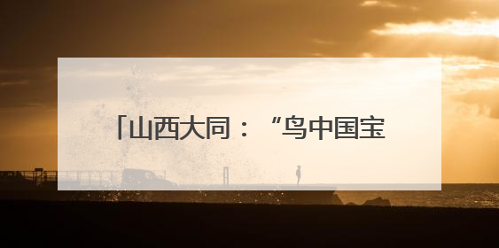 山西大同：“鸟中国宝”铁塔筑巢繁殖 电力人员守护“空中来客”