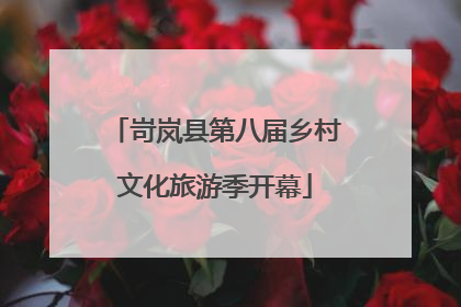 岢岚县第八届乡村文化旅游季开幕
