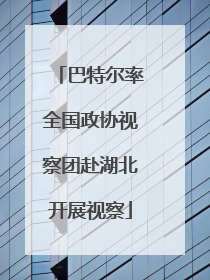 巴特尔率全国政协视察团赴湖北开展视察