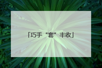 巧手“套”丰收