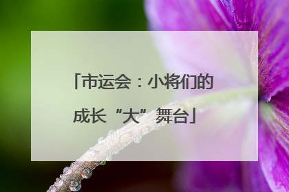 市运会：小将们的成长“大”舞台