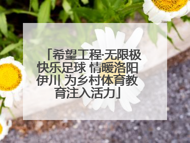希望工程·无限极快乐足球 情暖洛阳伊川 为乡村体育教育注入活力