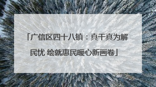 广信区四十八镇：真干真为解民忧 绘就惠民暖心新画卷