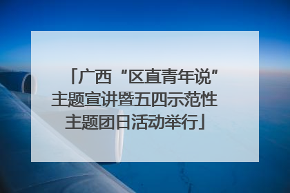广西“区直青年说”主题宣讲暨五四示范性主题团日活动举行