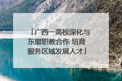 广西一高校深化与东盟职教合作 培育服务区域发展人才