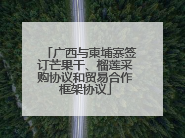 广西与柬埔寨签订芒果干、榴莲采购协议和贸易合作框架协议