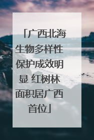 广西北海生物多样性保护成效明显 红树林面积居广西首位