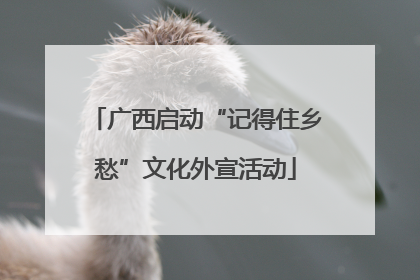 广西启动“记得住乡愁”文化外宣活动
