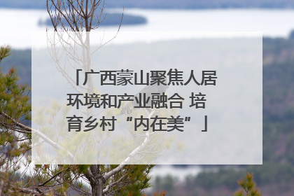广西蒙山聚焦人居环境和产业融合 培育乡村“内在美”