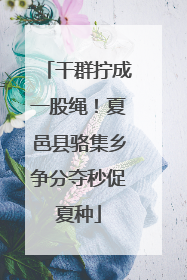 干群拧成一股绳！夏邑县骆集乡争分夺秒促夏种