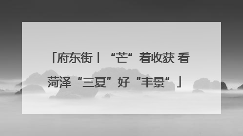 府东街丨“芒”着收获 看菏泽“三夏”好“丰景”