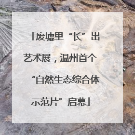 废墟里“长”出艺术展，温州首个“自然生态综合体示范片”启幕