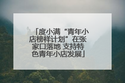 度小满“青年小店榜样计划”在张家口落地 支持特色青年小店发展