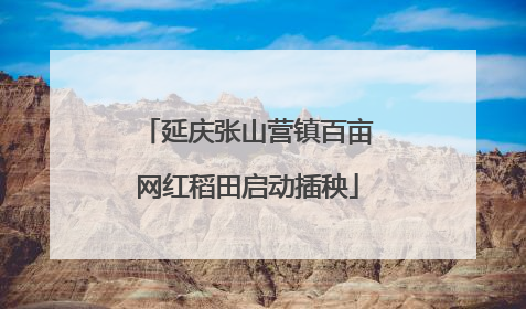 延庆张山营镇百亩网红稻田启动插秧