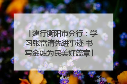 建行衡阳市分行：学习张富清先进事迹 书写金融为民美好篇章