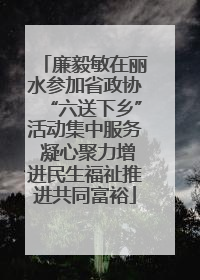 廉毅敏在丽水参加省政协“六送下乡”活动集中服务 凝心聚力增进民生福祉推进共同富裕