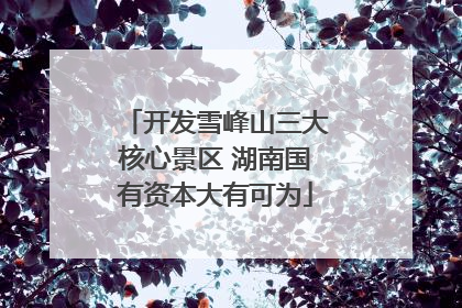 开发雪峰山三大核心景区 湖南国有资本大有可为
