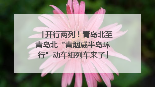 开行两列！青岛北至青岛北“青烟威半岛环行”动车组列车来了