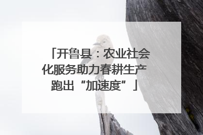 开鲁县：农业社会化服务助力春耕生产跑出“加速度”