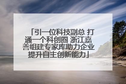 引一位科技副总 打通一个科创圈 浙江嘉善组建专家库助力企业提升自主创新能力