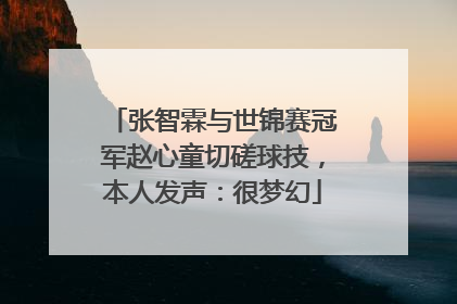 张智霖与世锦赛冠军赵心童切磋球技，本人发声：很梦幻