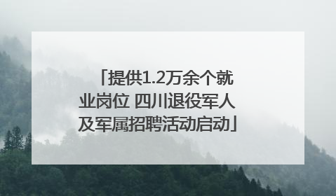提供1.2万余个就业岗位 四川退役军人及军属招聘活动启动