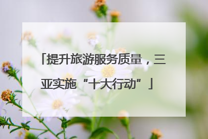 提升旅游服务质量，三亚实施“十大行动”