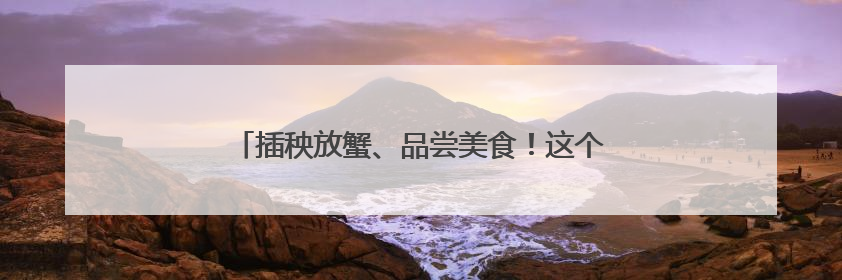 插秧放蟹、品尝美食！这个周末，吉报小记者有点忙