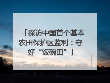探访中国首个基本农田保护区监利：守好“饭碗田”