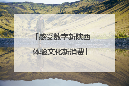 感受数字新陕西 体验文化新消费