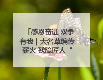 感恩奋进 双争有我｜大名草编传薪火 残障匠人“织”前程