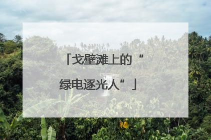 戈壁滩上的“绿电逐光人”